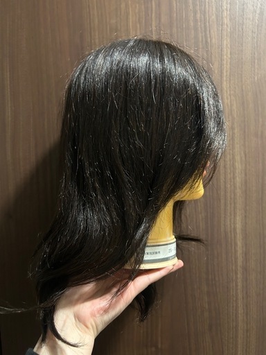 未使用　美容師国家試験　 カットウィッグ　6体セット(クランプ別途
