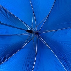 ぬれんぼう　ケース付き　雨傘　差し上げます！の画像