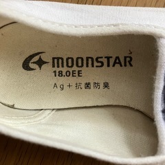 上靴　体育館シューズの画像
