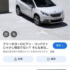 カバー　プジョー2008用車カバー
の画像