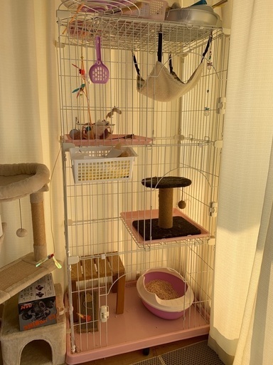 キャットウォーク
