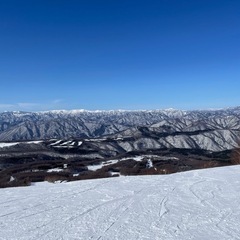 スノボ仲間募集中