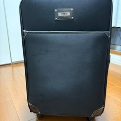 スーツケース
の画像