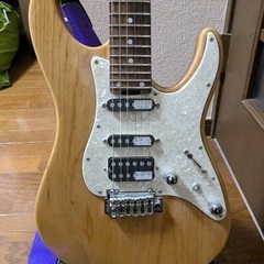 シェクター製ギター　SCHECTER BH-1-STD-24