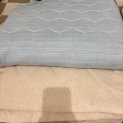 引き取り決定　夏用敷きパット2枚セット 