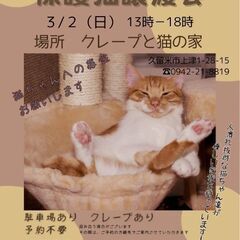 保護猫譲渡会3/2(日)
