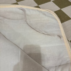 引き取り決定　冬用敷きパットシングル用3枚セットの画像