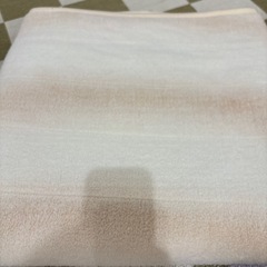 引き取り決定　冬用敷きパットシングル用3枚セットの画像