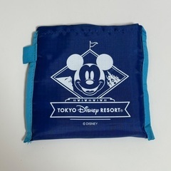 ディズニーリゾート エコバッグ