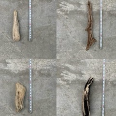 流木⭐︎アクアリウム⭐︎インテリア⭐︎７本セットの画像