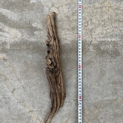 流木⭐︎アクアリウム⭐︎インテリア⭐︎７本セットの画像