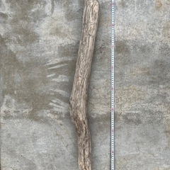 流木⭐︎アクアリウム⭐︎インテリア⭐︎７本セットの画像