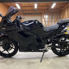 カワサキ NINJA250R 社外カウルの画像