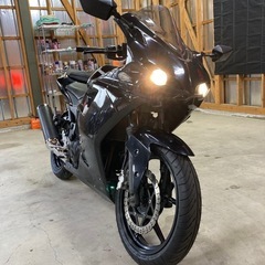 カワサキ NINJA250R 社外カウル