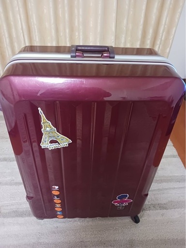 20250228_キャリーケースLL