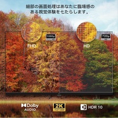 定価34500円 新品 FPD チューナーレス テレビ 43インチ Google TV VESA の画像