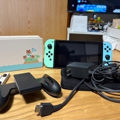 Switch どうぶつの森仕様