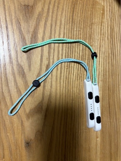 Switch どうぶつの森仕様
