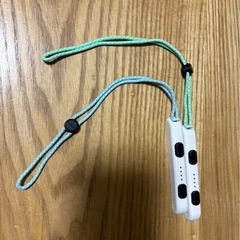 Switch どうぶつの森仕様の画像