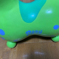 （終了
）きれいになったロディ…の画像