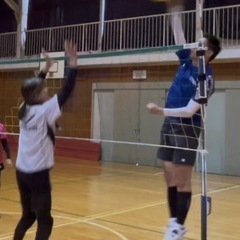 【新メンバー募集中！】　横浜市青葉区　男女混合ソフトバレーボール　藤が丘クラブ - スポーツ