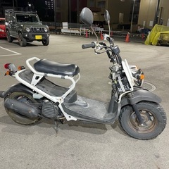 【終了】ホンダ　ズーマー AF58 放置車両　ジャンク　時々エンジンかかる　原付の画像