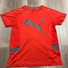 キッズ　PUMA プーマ　トレーニング用Tシャツ レッド　ASI...