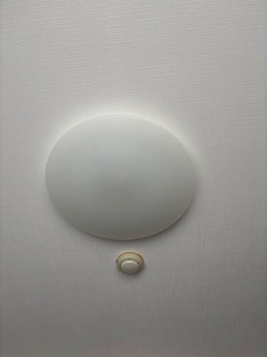シーリングライト