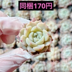 3.氷の塊