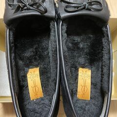 【受け渡し予定者決定のため、問い合わせ不可】＜無料あげます＞【美...