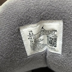 エア ジョーダン3 “クールグレー”の画像