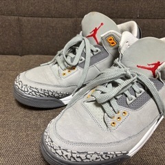 エア ジョーダン3 “クールグレー”の画像