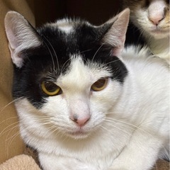 なおちゃん🩷