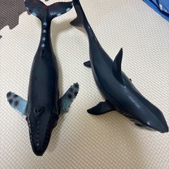 サメ クジラ フィギュア