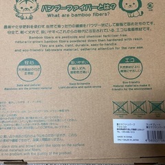 富士サファリパーク　キッズトレイ　2枚セットの画像