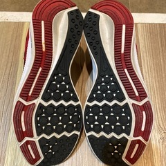 Nike レッド ランニングスニーカー 27cmの画像