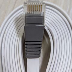 LANケーブル　約3mの画像