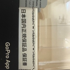 GoProMAXの画像