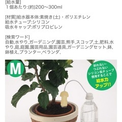 水やり当番