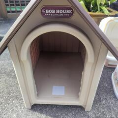 🐶犬小屋　かじりあとアリ