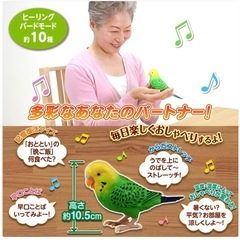 認知症予防に脳トレおしゃべりインコの画像