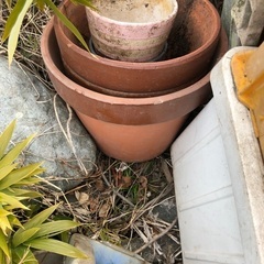 植木鉢