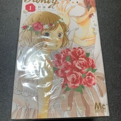 新品⭐️【ハニー】漫画