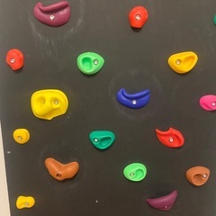 ボルダリングウォール　ホールド付き　黒板塗装の画像