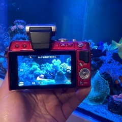 オリンパス e p l 3 レンズキット
の画像