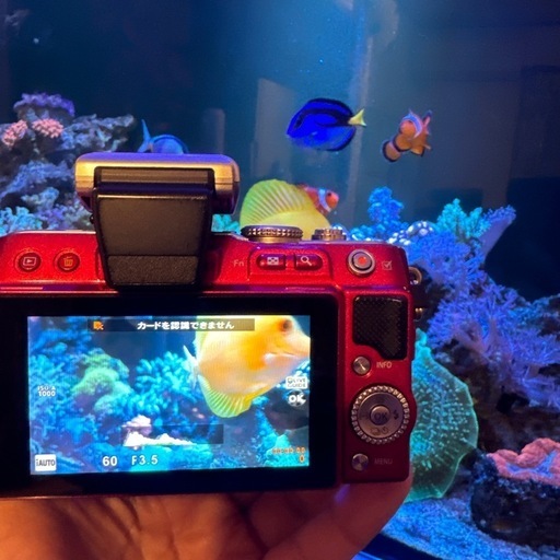 オリンパス e p l 3 レンズキット

