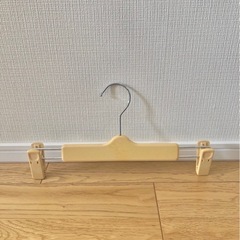 クリップ付きハンガー15本(日本製)の画像