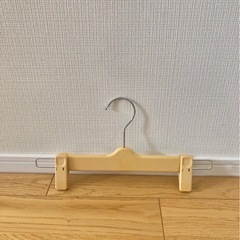 クリップ付きハンガー15本(日本製)の画像
