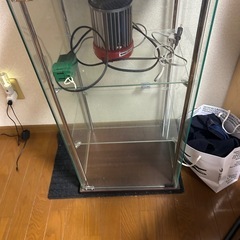 新生活セットかもの画像