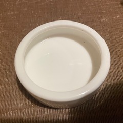レプタイルディッシュ(餌皿)SとL 